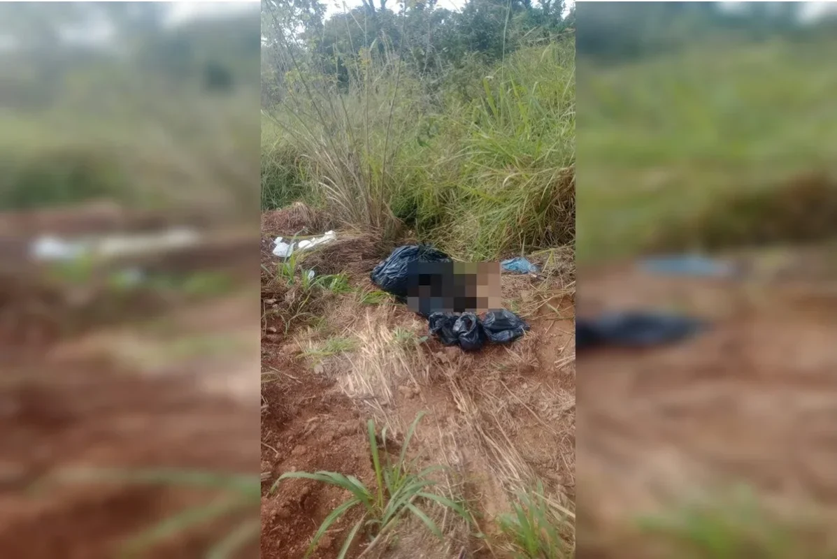 Cães mortos são encontrados em sacos de lixo no Novo Gama (GO)